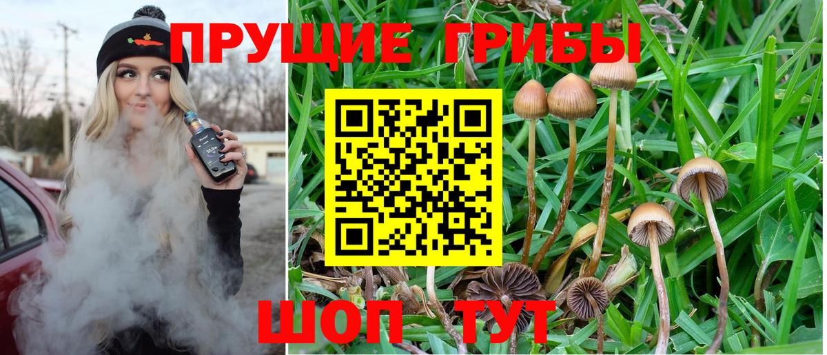 Псилоцибиновые грибы мухоморы Ярцево